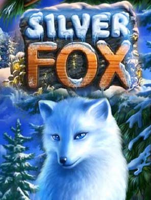 Silver Fox